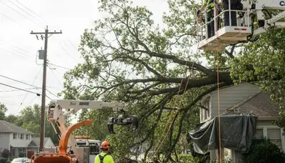 Emergency tree removal crew clearing storm damage in Salisbury, MD