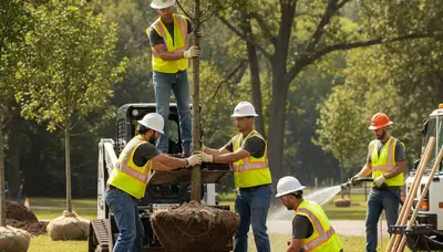 Tree planting service in Salisbury, MD for residential and commercial landscapes