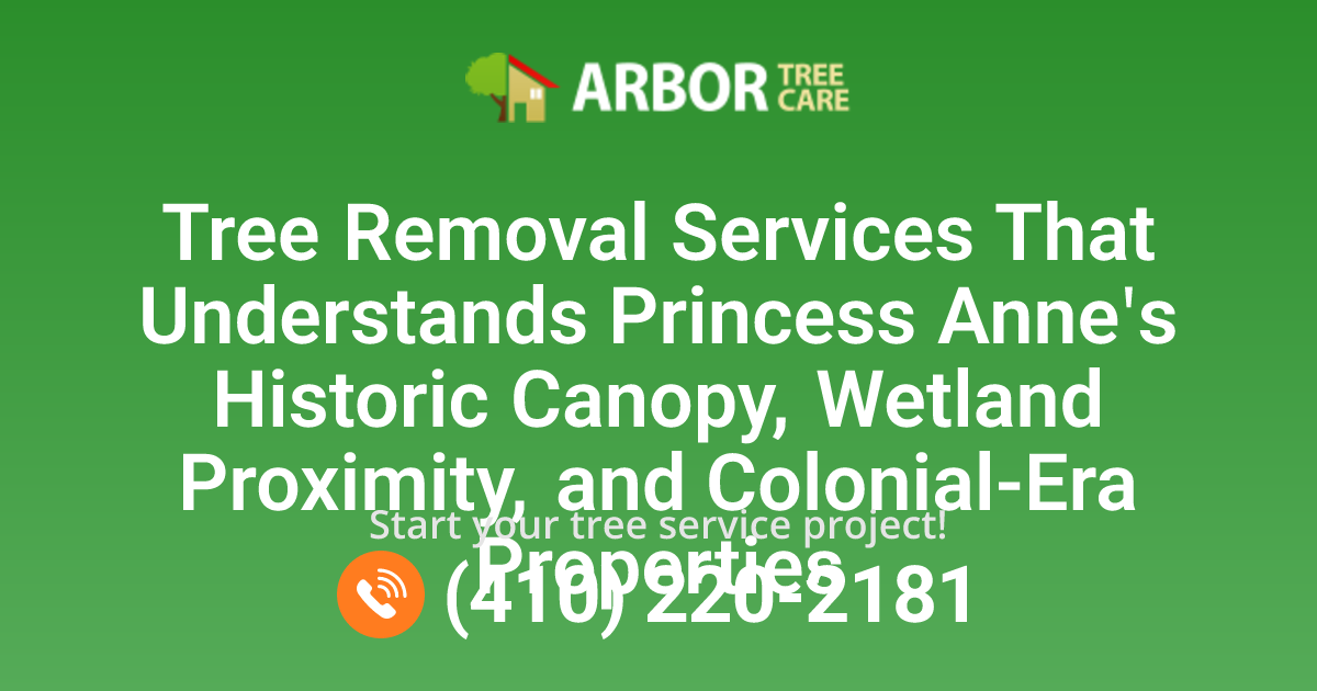 Tree Trimming, Removal & Tree Services in Princess Anne, MD | Arbor ...